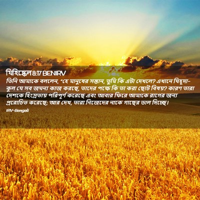 Picture 02 - যিহিষ্কেল 8:17 BENIRV - তিনি আমাকে বললেন, - Bible Verse Picture