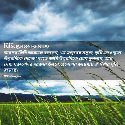 Picture 02 - যিহিষ্কেল 8:5 BENIRV - তারপর তিনি আমাকে - Bible Verse Picture