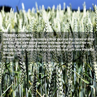 Picture 02 - যিহোচূৱা 10:11 BENIRV - আর ইস্রায়েলের - Bible Verse Picture