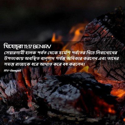 Picture 02 - যিহোচূৱা 11:17 BENIRV - সেয়ারগামী হালক - Bible Verse Picture