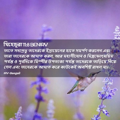 Picture 02 - যিহোচূৱা 11:8 BENIRV - তাতে সদাপ্রভু - Bible Verse Picture