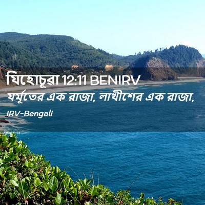 Picture 02 - যিহোচূৱা 12:11 BENIRV - যর্মূতের এক রাজা, - Bible Verse Picture