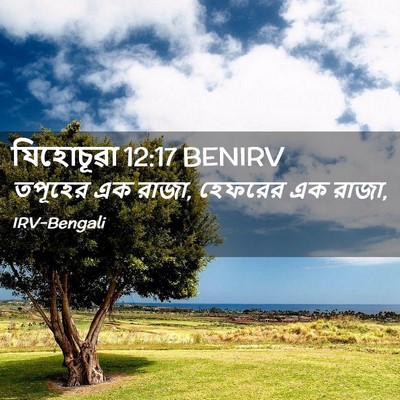Picture 02 - যিহোচূৱা 12:17 BENIRV - তপূহের এক রাজা, - Bible Verse Picture