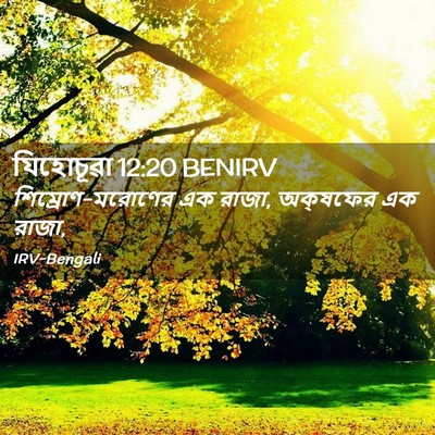 Picture 02 - যিহোচূৱা 12:20 BENIRV - শিম্রোণ-মরোণের এক - Bible Verse Picture