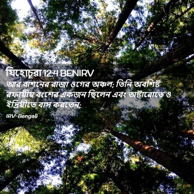 Picture 02 - যিহোচূৱা 12:4 BENIRV - আর বাশনের রাজা - Bible Verse Picture