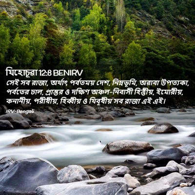Picture 02 - যিহোচূৱা 12:8 BENIRV - সেই সব রাজা, অর্থাৎ - Bible Verse Picture