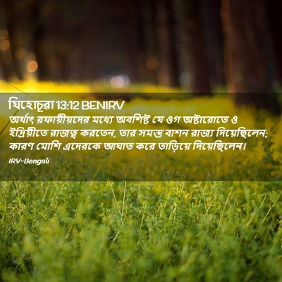 Picture 02 - যিহোচূৱা 13:12 BENIRV - অর্থাৎ - Bible Verse Picture