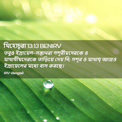 Picture 02 - যিহোচূৱা 13:13 BENIRV - তবুও - Bible Verse Picture