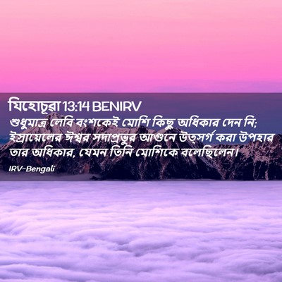 Picture 02 - যিহোচূৱা 13:14 BENIRV - শুধুমাত্র লেবি - Bible Verse Picture