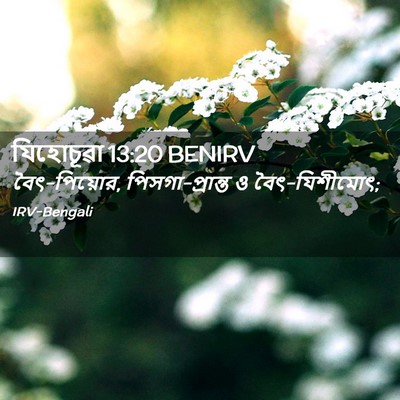 Picture 02 - যিহোচূৱা 13:20 BENIRV - বৈৎ-পিয়োর, - Bible Verse Picture