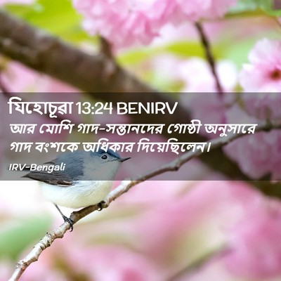 Picture 02 - যিহোচূৱা 13:24 BENIRV - আর মোশি - Bible Verse Picture