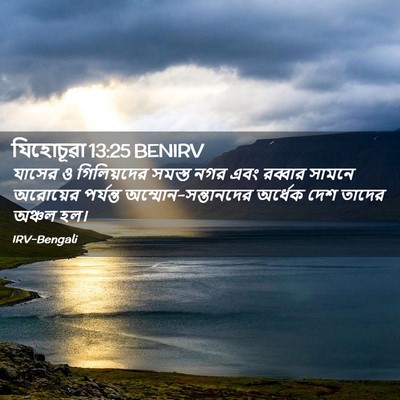 Picture 02 - যিহোচূৱা 13:25 BENIRV - যাসের ও গিলিয়দের - Bible Verse Picture