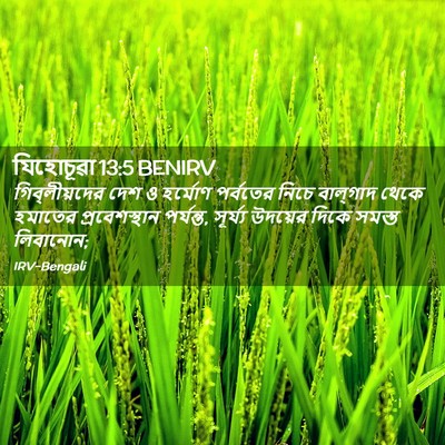 Picture 02 - যিহোচূৱা 13:5 BENIRV - গিব্‌লীয়দের দেশ - Bible Verse Picture