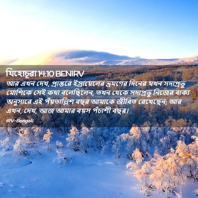 Picture 02 - যিহোচূৱা 14:10 BENIRV - আর এখন দেখ, - Bible Verse Picture