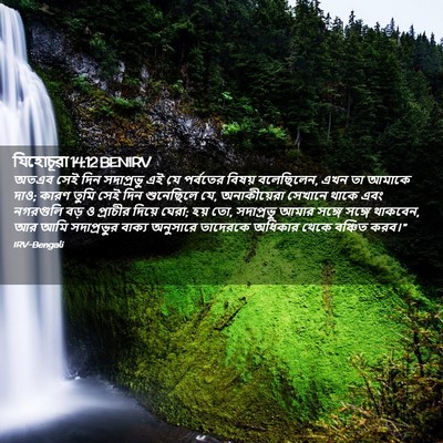 Picture 02 - যিহোচূৱা 14:12 BENIRV - অতএব সেই দিন - Bible Verse Picture