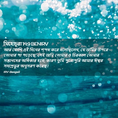 Picture 02 - যিহোচূৱা 14:9 BENIRV - আর মোশি ওই দিনের - Bible Verse Picture