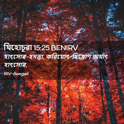 Picture 02 - যিহোচূৱা 15:25 BENIRV - হাৎসোর-হদত্তা, - Bible Verse Picture