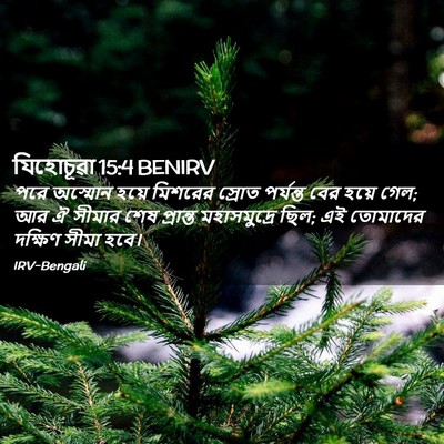 Picture 02 - যিহোচূৱা 15:4 BENIRV - পরে অস্মোন হয়ে - Bible Verse Picture