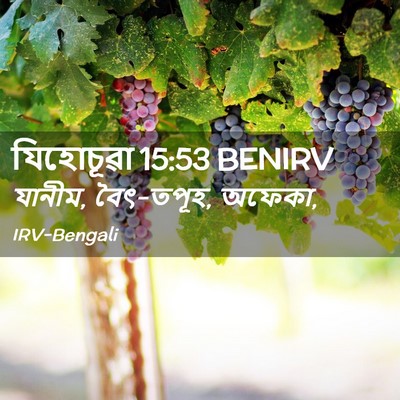 Picture 02 - যিহোচূৱা 15:53 BENIRV - যানীম, বৈৎ-তপূহ, - Bible Verse Picture