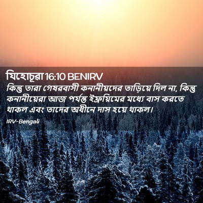 Picture 02 - যিহোচূৱা 16:10 BENIRV - কিন্তু তারা - Bible Verse Picture