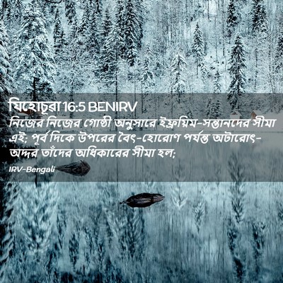 Picture 02 - যিহোচূৱা 16:5 BENIRV - নিজের নিজের - Bible Verse Picture