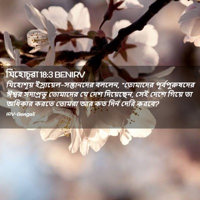 Picture 02 - যিহোচূৱা 18:3 BENIRV - যিহোশূয় - Bible Verse Picture
