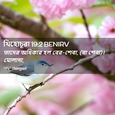 Picture 02 - যিহোচূৱা 19:2 BENIRV - তাদের অধিকার হল - Bible Verse Picture