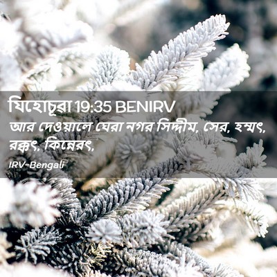 Picture 02 - যিহোচূৱা 19:35 BENIRV - আর দেওয়ালে ঘেরা - Bible Verse Picture
