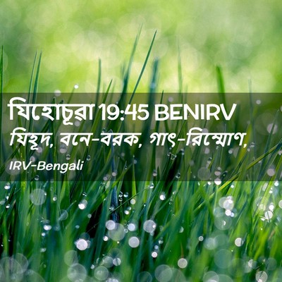 Picture 02 - যিহোচূৱা 19:45 BENIRV - যিহূদ, বনে-বরক, - Bible Verse Picture