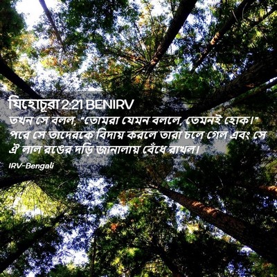 Picture 02 - যিহোচূৱা 2:21 BENIRV - তখন সে বলল, “তোমরা - Bible Verse Picture