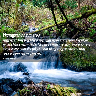 Picture 02 - যিহোচূৱা 2:22 BENIRV - আর তারা পর্বতে - Bible Verse Picture