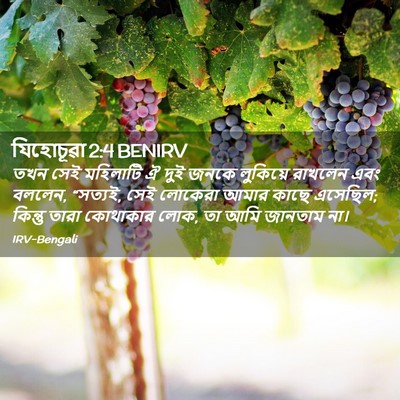 Picture 02 - যিহোচূৱা 2:4 BENIRV - তখন সেই মহিলাটি ঐ - Bible Verse Picture