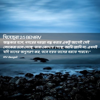 Picture 02 - যিহোচূৱা 2:5 BENIRV - অন্ধকার হলে, নগরের - Bible Verse Picture
