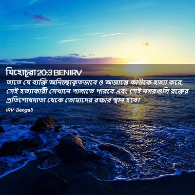 Picture 02 - যিহোচূৱা 20:3 BENIRV - তাতে যে ব্যক্তি - Bible Verse Picture