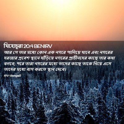 Picture 02 - যিহোচূৱা 20:4 BENIRV - আর সে তার মধ্যে কোন - Bible Verse Picture
