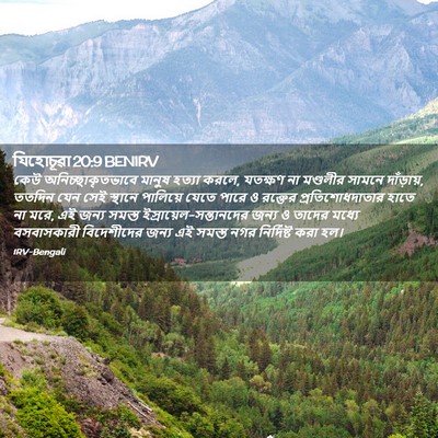 Picture 02 - যিহোচূৱা 20:9 BENIRV - কেউ - Bible Verse Picture