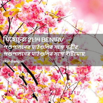 Picture 02 - যিহোচূৱা 21:14 BENIRV - পশুপালনের - Bible Verse Picture