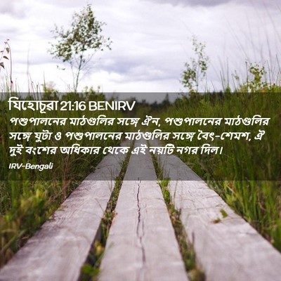 Picture 02 - যিহোচূৱা 21:16 BENIRV - পশুপালনের - Bible Verse Picture