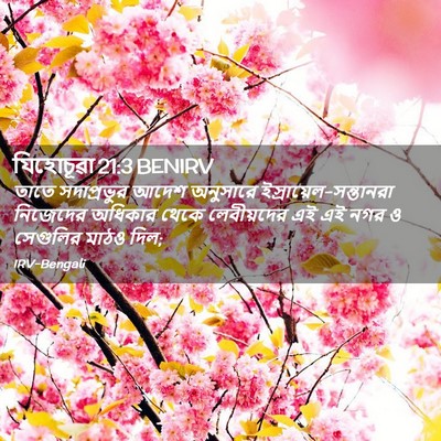 Picture 02 - যিহোচূৱা 21:3 BENIRV - তাতে সদাপ্রভুর - Bible Verse Picture
