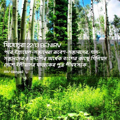 Picture 02 - যিহোচূৱা 22:13 BENIRV - পরে - Bible Verse Picture