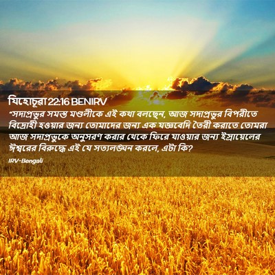 Picture 02 - যিহোচূৱা 22:16 BENIRV - “সদাপ্রভুর সমস্ত - Bible Verse Picture