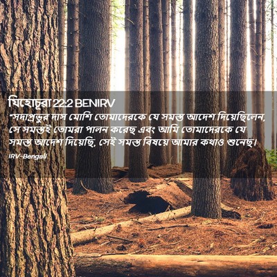 Picture 02 - যিহোচূৱা 22:2 BENIRV - “সদাপ্রভুর দাস - Bible Verse Picture
