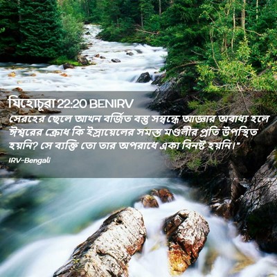Picture 02 - যিহোচূৱা 22:20 BENIRV - সেরহের ছেলে আখন - Bible Verse Picture