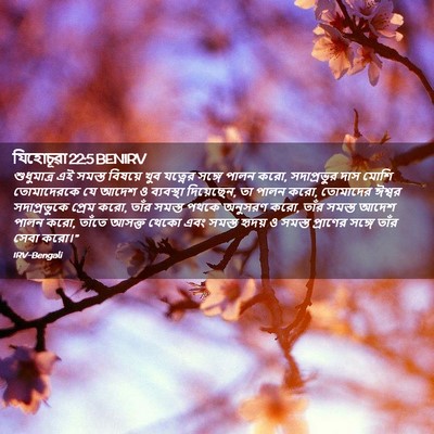 Picture 02 - যিহোচূৱা 22:5 BENIRV - শুধুমাত্র এই - Bible Verse Picture