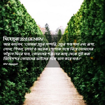 Picture 02 - যিহোচূৱা 22:8 BENIRV - আর বললেন, “তোমরা - Bible Verse Picture