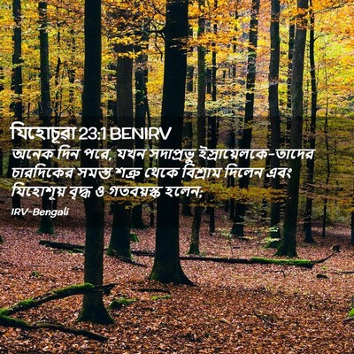 Picture 02 - যিহোচূৱা 23:1 BENIRV - অনেক দিন পরে, যখন - Bible Verse Picture