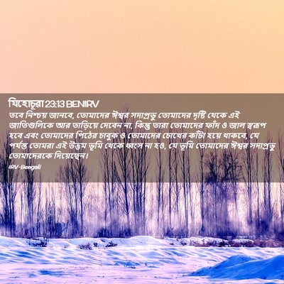Picture 02 - যিহোচূৱা 23:13 BENIRV - তবে নিশ্চয় জানবে, - Bible Verse Picture
