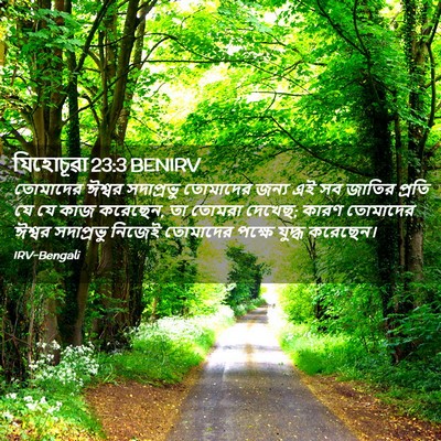 Picture 02 - যিহোচূৱা 23:3 BENIRV - তোমাদের ঈশ্বর - Bible Verse Picture