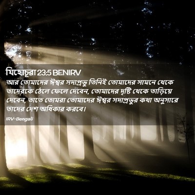 Picture 02 - যিহোচূৱা 23:5 BENIRV - আর তোমাদের ঈশ্বর - Bible Verse Picture