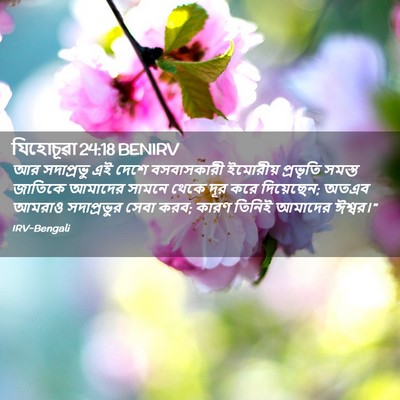 Picture 02 - যিহোচূৱা 24:18 BENIRV - আর সদাপ্রভু এই - Bible Verse Picture